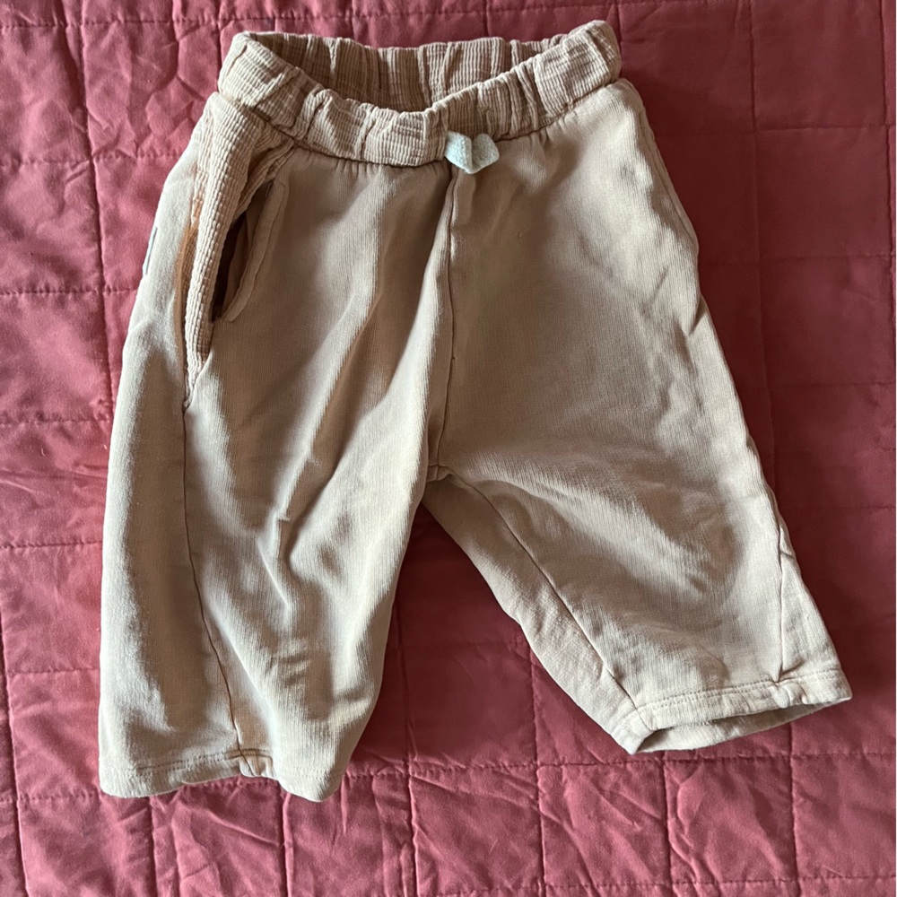 Zara pants